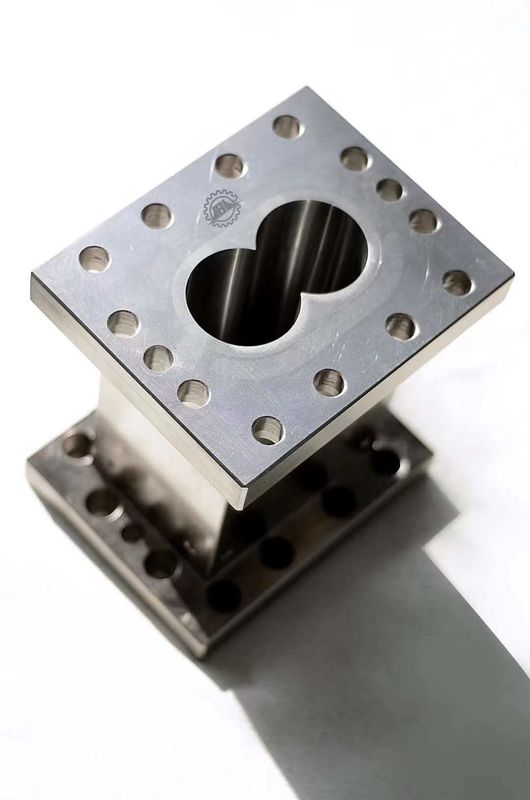 Barrillo a doppia vite ad alta precisione Carburo di tungsteno resistente all'usura resistente alla corrosione