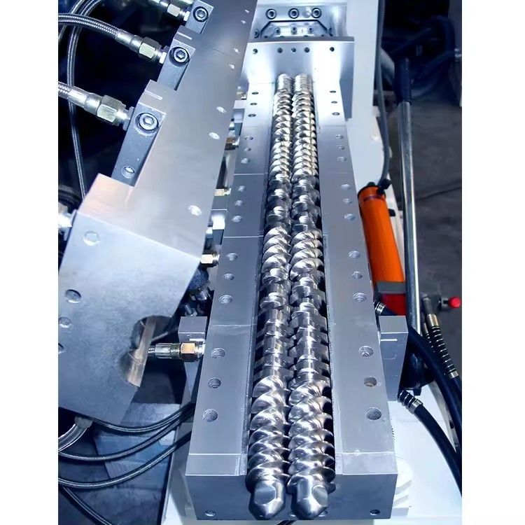 Segmento di elementi a vite per la macchina a due viti