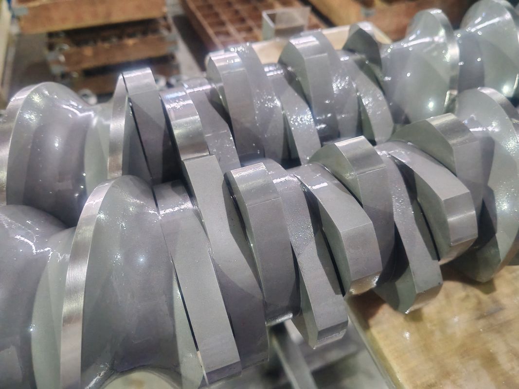 Segmenti vite e cilindro per estrusore a doppia vite Berstoff progettati con precisione per risultati superiori