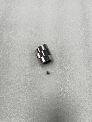 Macchine per l'estrusione a doppia vite resistenti alla corrosione