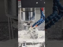 Segmento di elementi a vite per la macchina a due viti